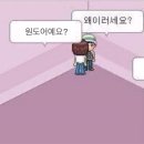 독한고양이 | 고양이 인형 사려고 밤샘함