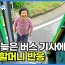 하준이들아 유튜브 다큐 하나 추천함 심심할때 봐바 이미지