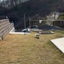 서린춘천 이미지