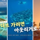 원메디팜 이미지