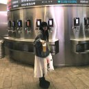 대원가든앞공원 | 유튜브 30개 보고 칭다오 여행 다녀온 후기