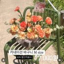 백화 | 대구 수성구 어버이날 꽃다발 꽃집 [백화, 플레르블랑쉬] 추천 후기