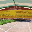 관악구 자전거 대여센터 | 안성팜랜드 썸머 실내동물원 스몰팜, 자전거 대여, 물놀이