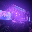 현철유지 | 2025년 DMZ 피스트레인 페스티벌 후기♬ - 2일차(토요일)