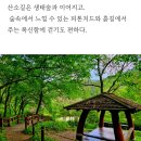 산소 이미지