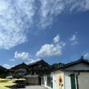 해바라기카페 이미지