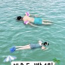 메가리조트제주 이미지