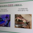 뉴엘동물의료센터 네이버블로그