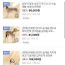 은해반려동물보조기 이미지