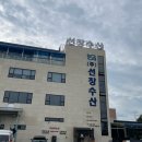 선창마트 | 화성 대하구이_선창수산(2025.09.19), 초장집 가격정보