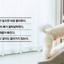 우리동물병원 이미지
