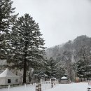 미산고로쇠협동조합 이미지