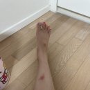 폴기록🌙 - 5회차~8회차