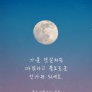 올스마일치과 네이버블로그