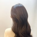 리안헤어 이미지