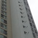 남양주월산초등학교 이미지