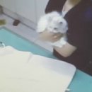 레인보우 동물병원 이미지