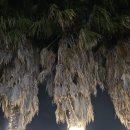 한우천국제주점 이미지