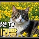 이룸디엔피