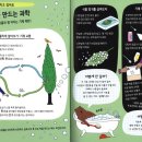 척척박사 이미지