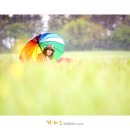 고창 청보리밭 / 선운사 ~ 비오는 날의 수채화 ~ ^^ 이미지