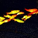 화천재래시장 이미지