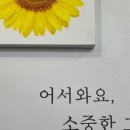 오땡큐염색방