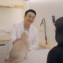 데일리동물병원 이미지