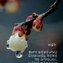 아이영