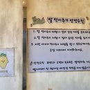 종일목장 | 제주 목장 카페 밭디 유아 승마체험 먹이주기 체험 솔직후기