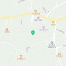 금덕무환자나무및팽나무군락 이미지