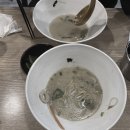 카네라멘 네이버블로그
