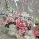 (주)일산실업 | 마지막 출근 I 출산휴가 육아휴직(6+6) 총정리 I 코엑스 베이비페어 사이러스2플러스 유모차 1+1구매 후기