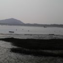 아차도민박 이미지