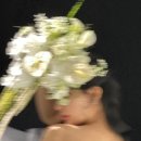 스튜디오 징 | W9. 세미앙 스튜디오 웨딩촬영 후기!! (with_엔조최재훈, 반니비스포크) 엔조최재훈 촬영드레스 변형 까지💛