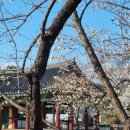 숙부님이 보내주신 아름다운 글(사륙문과 고시)에 감탄하며 올리는 감사의 글 ④ [謝孤鶩亭叔父惠四六及古詩詩序] 이미지