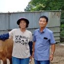 충현농장 이미지