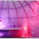 아이스뮤지엄 이미지