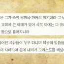 박해목장 이미지