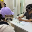 박물관옆동물병원 이미지