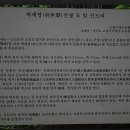 박세영선생묘 및 신도비 이미지