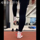 세움운동연구소 네이버블로그