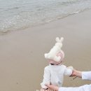 해운대관광리조트(LCT) | 2026 해운대 모래축제 일정 주차 준비물 이번주 부산 아이랑가볼만한곳 추천