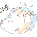 금파약국 이미지