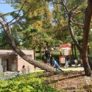 뱃골어린이공원 이미지