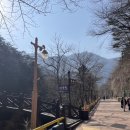 대이리군립공원 | [삼척여행] 대금굴 방문 후기