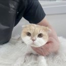 다다민박 이미지