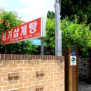 풍기인삼삼계탕 이미지