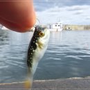 동산항 화장실 이미지