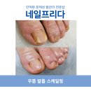 네일프리다 이미지